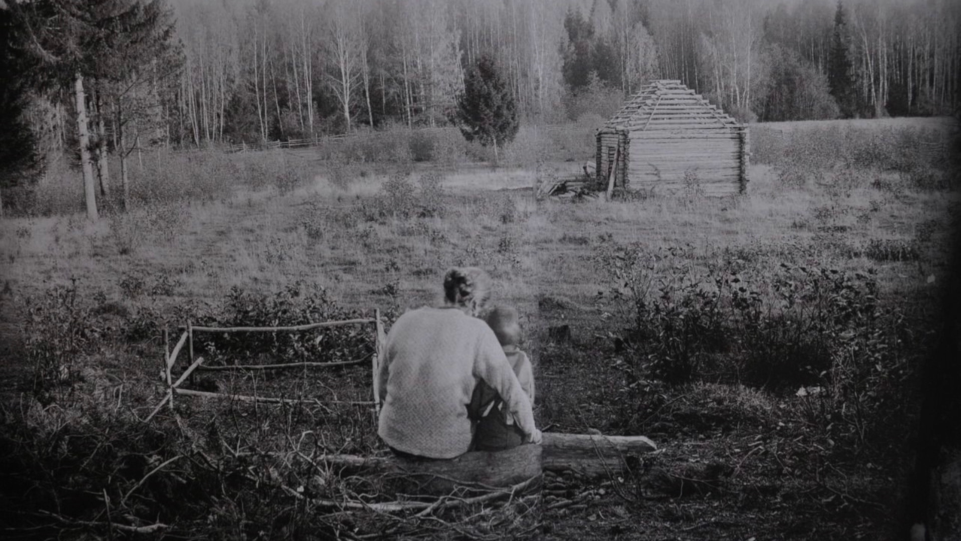 Backdrop for The Dream in the Mirror