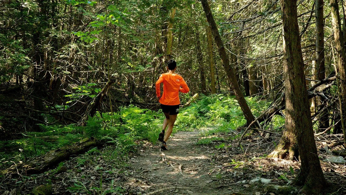 Backdrop for Caribou