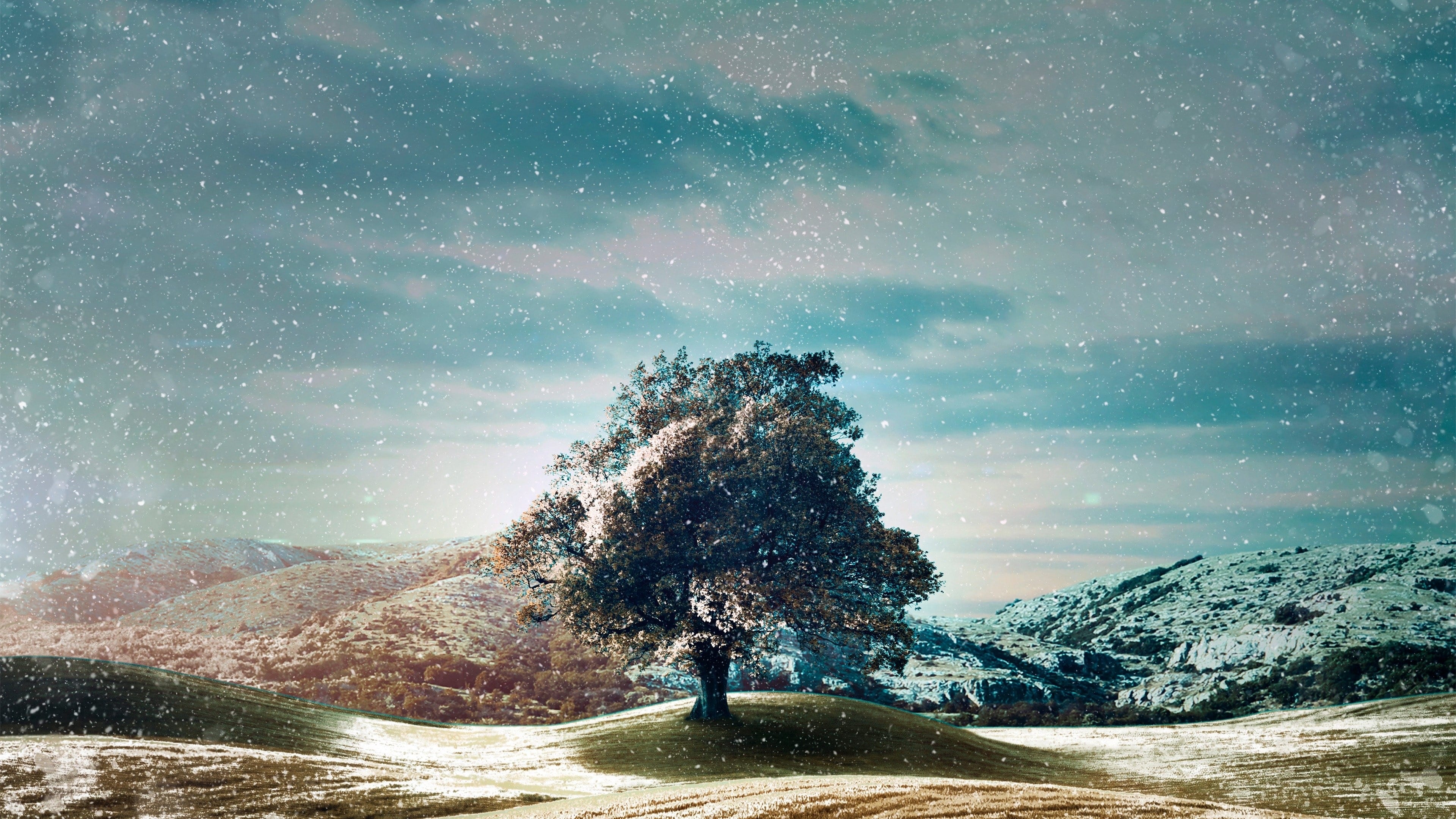 Backdrop for Who Do You Think You Are?