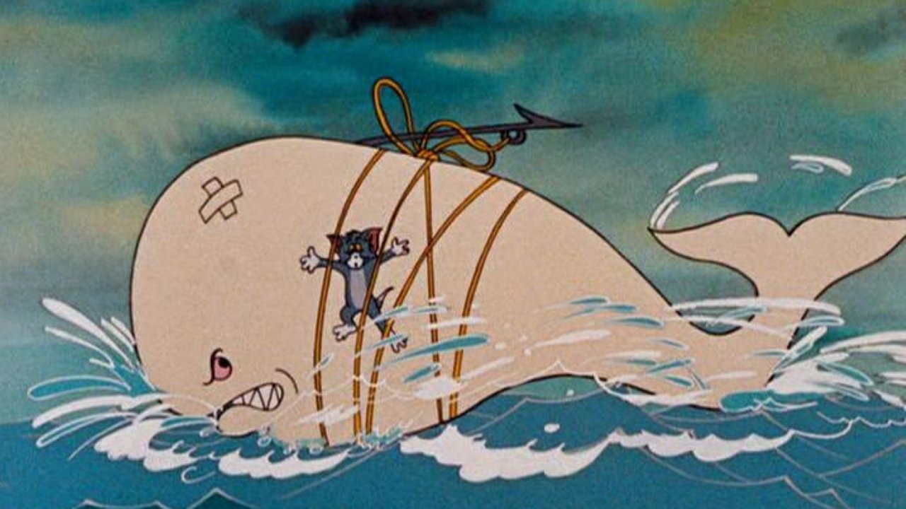 Backdrop for Dicky Moe