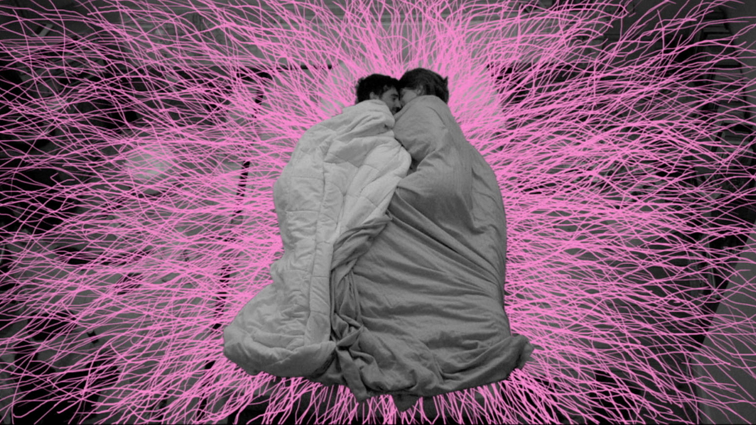 Backdrop for Je suis resté dans les bois