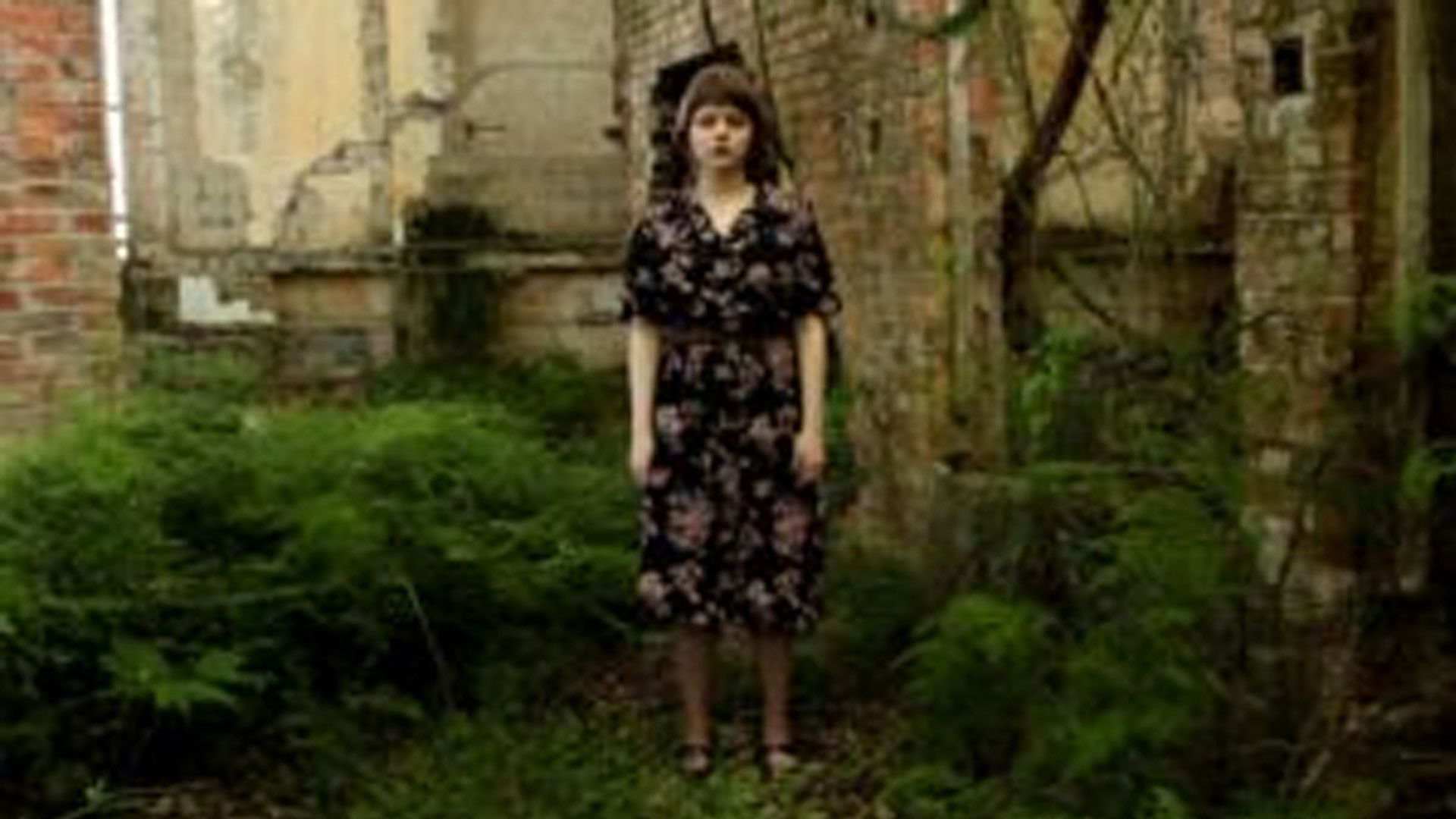 Backdrop for Bookpink – O Livro dos Pássaros