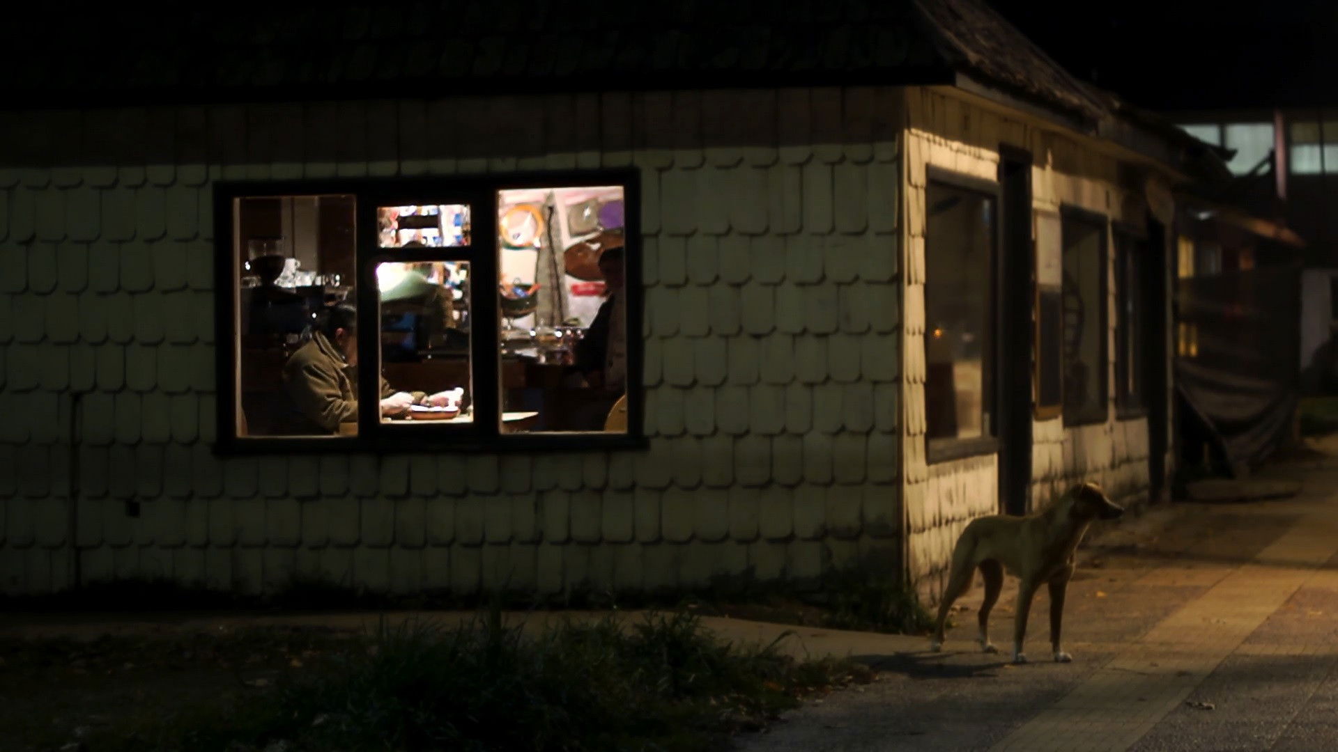 Backdrop for The Lost City