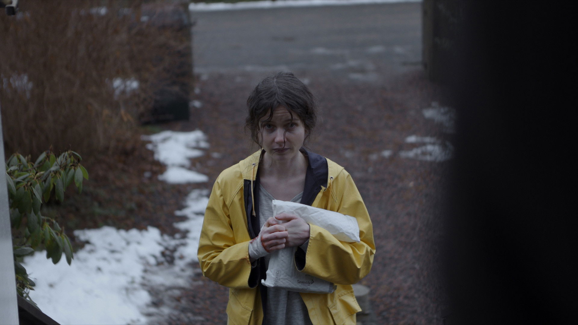 Backdrop for The Yellow Jacket