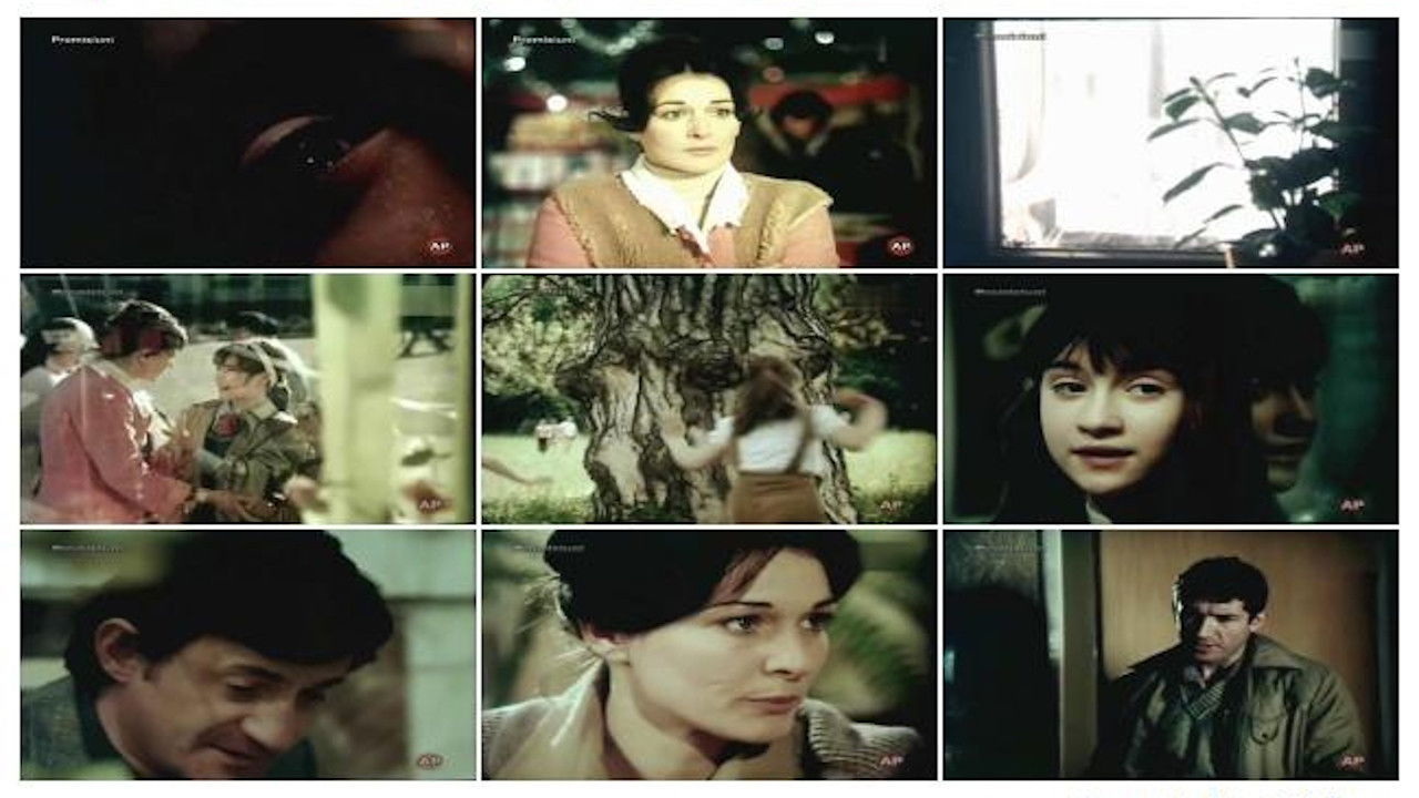 Backdrop for Promisses