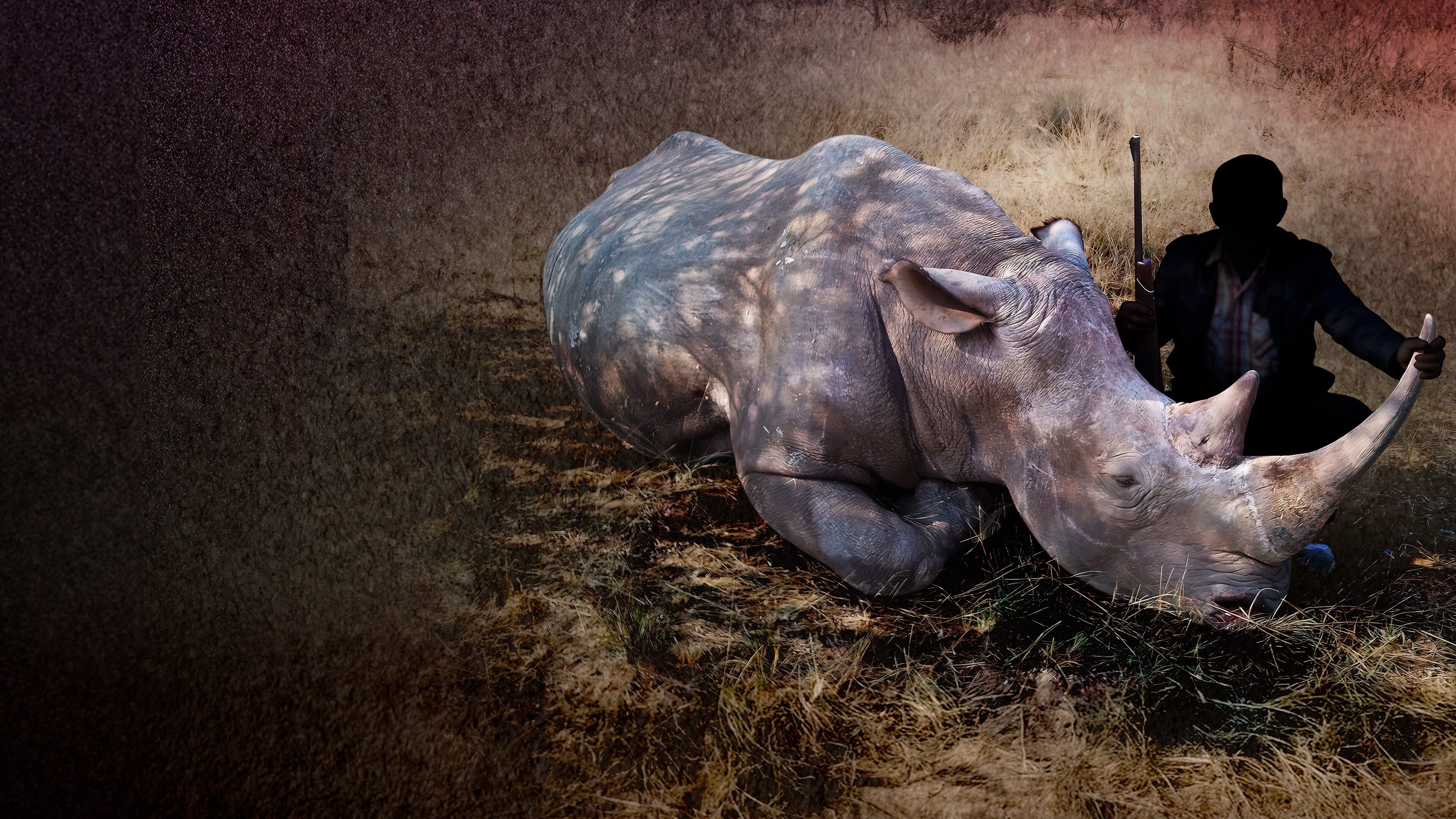 Backdrop for Bloody Trophy