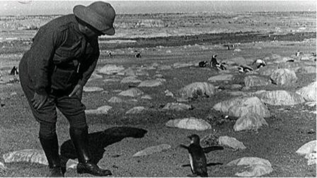 Backdrop for Dassan: An Adventure in Search of Laughter Featuring Nature's Greatest Little Comedians