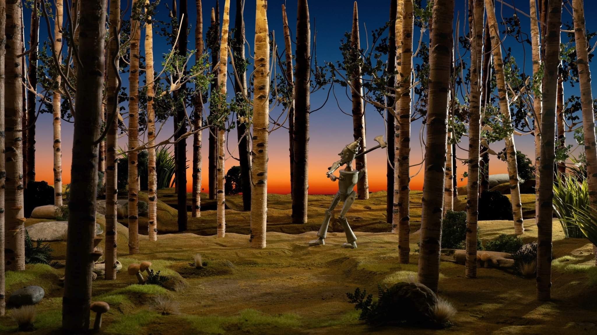 Backdrop for The Tin Woods