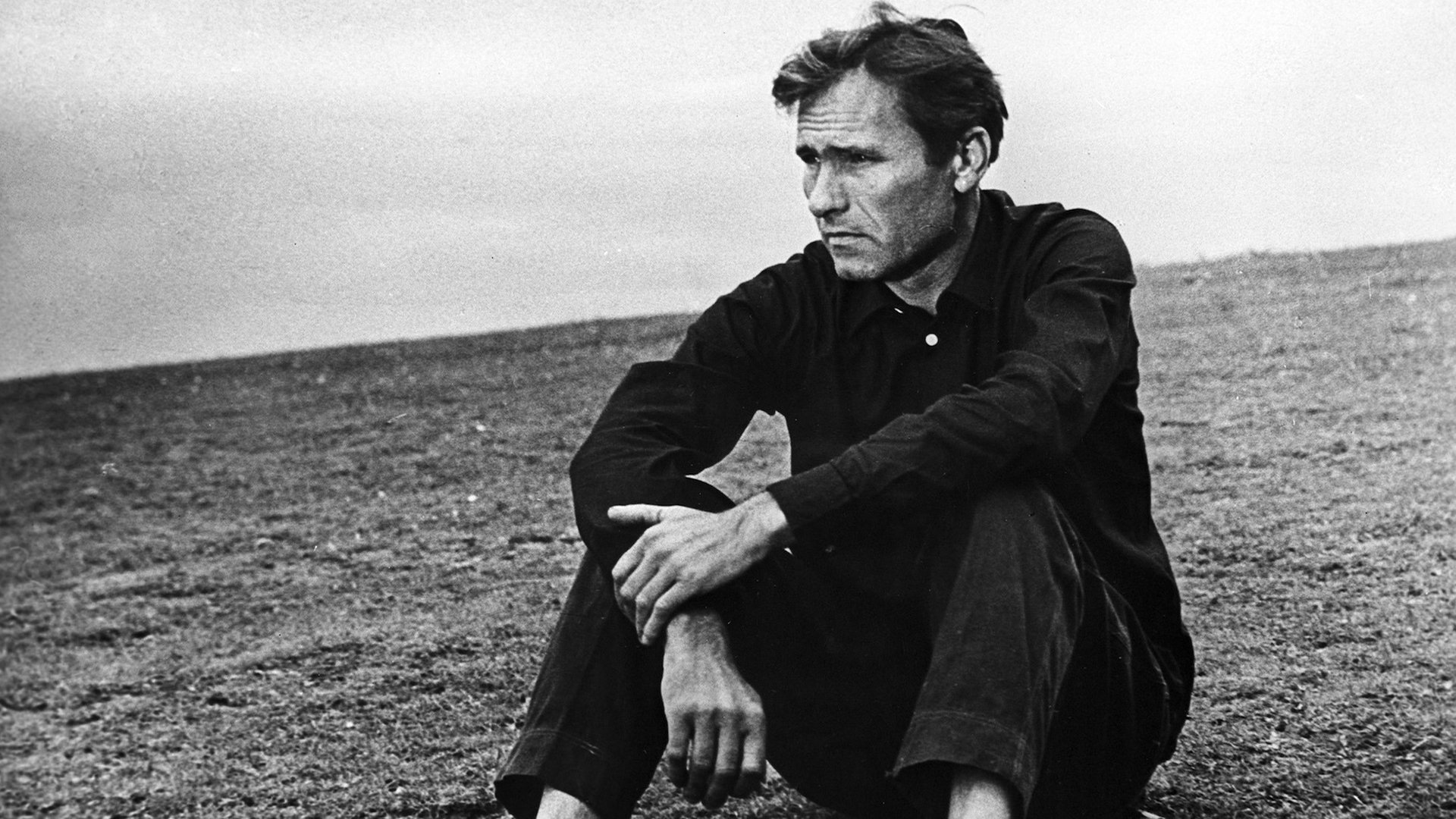 Backdrop for The Red Snowball Tree