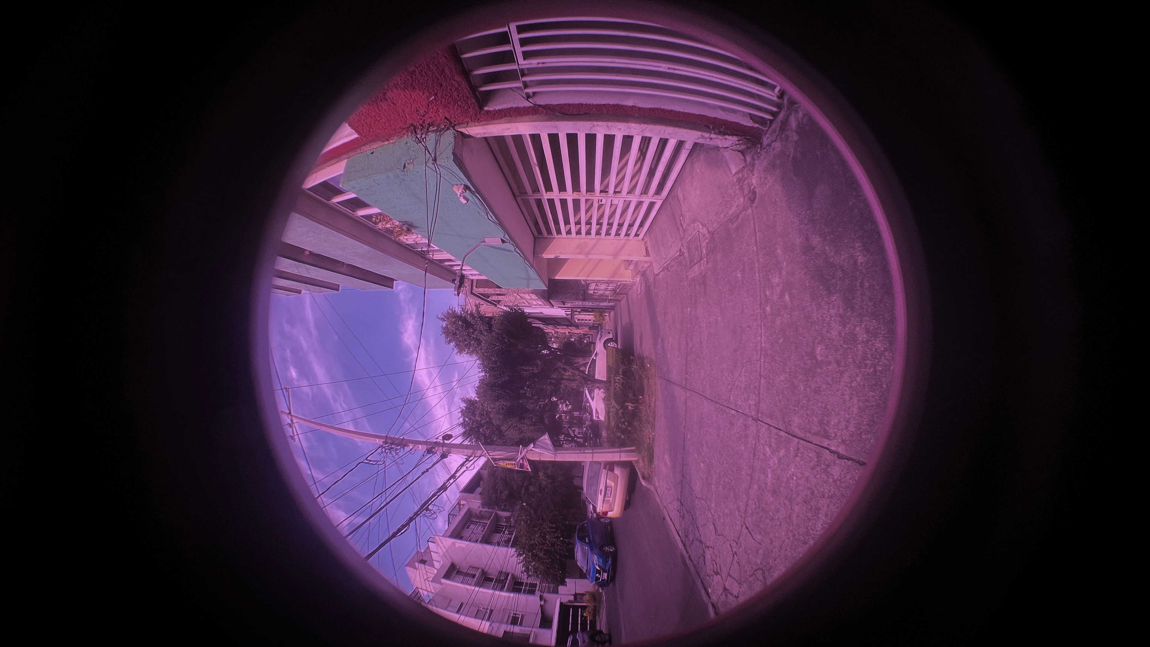 Backdrop for Pez Dorado