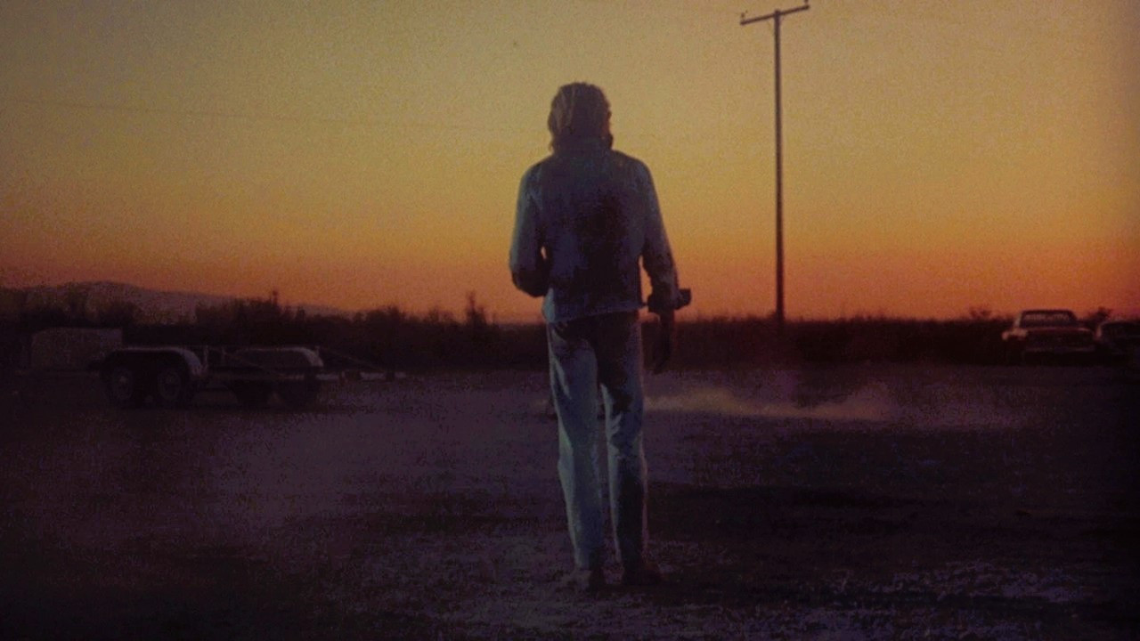 Backdrop for Aloha Bobby and Rose