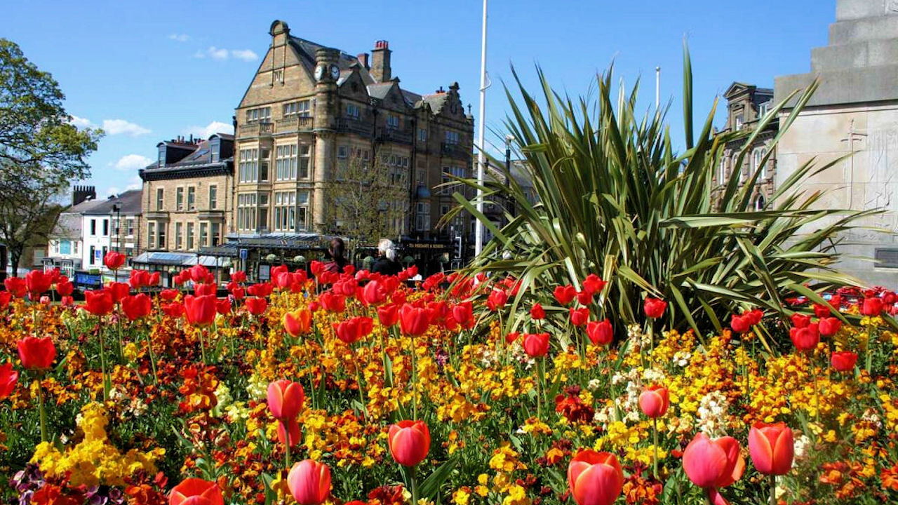 Backdrop for Britain in Bloom