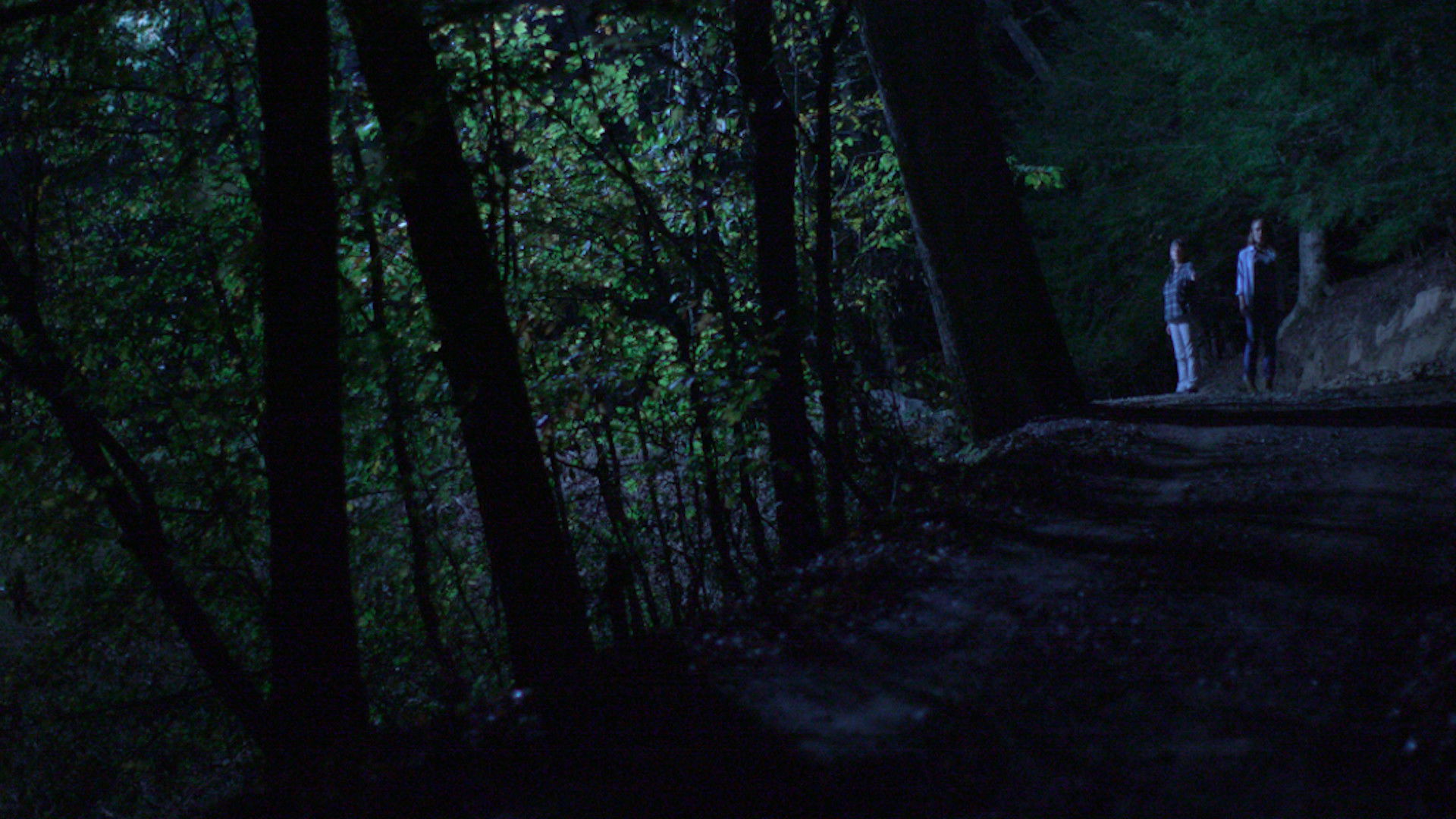 Backdrop for Below the Trees