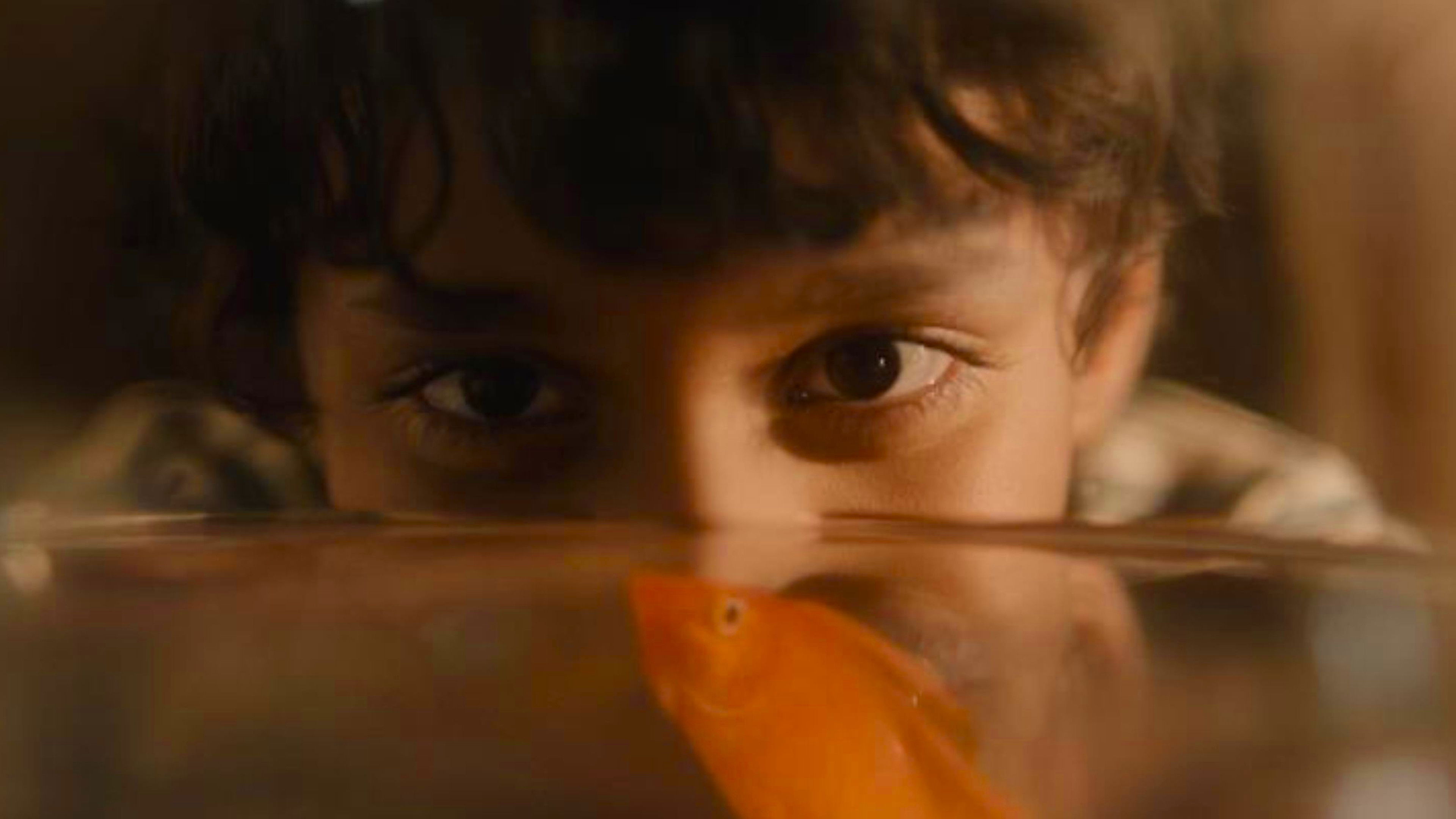 Backdrop for Blind Spot