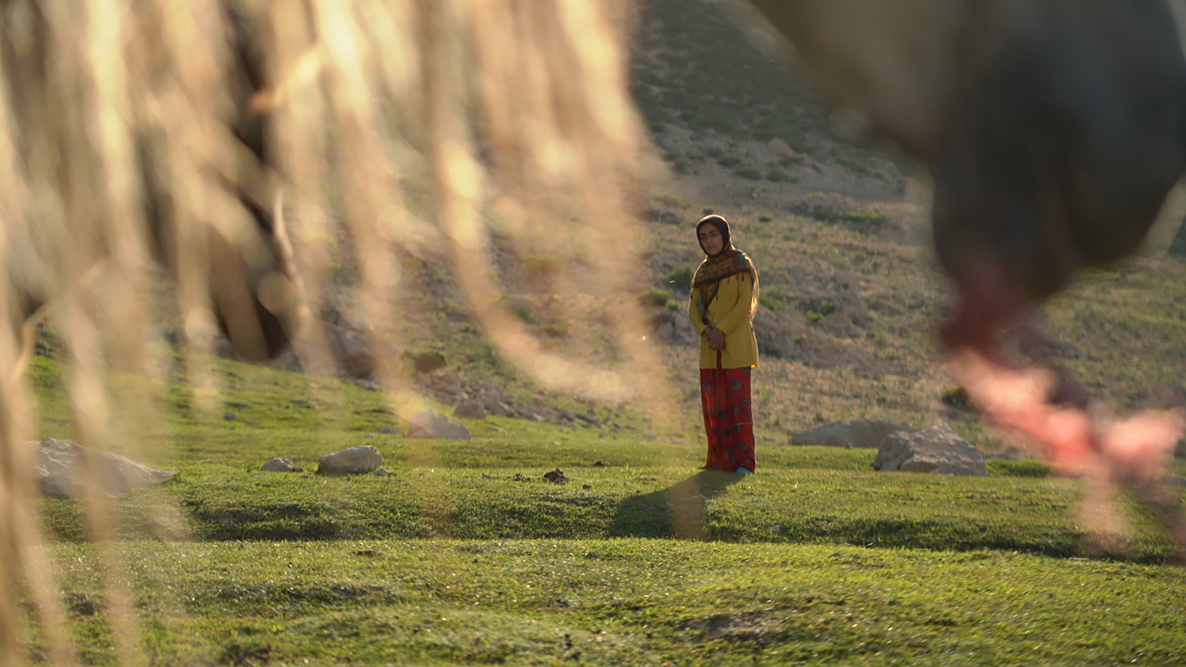 Backdrop for The Dream of a Horse