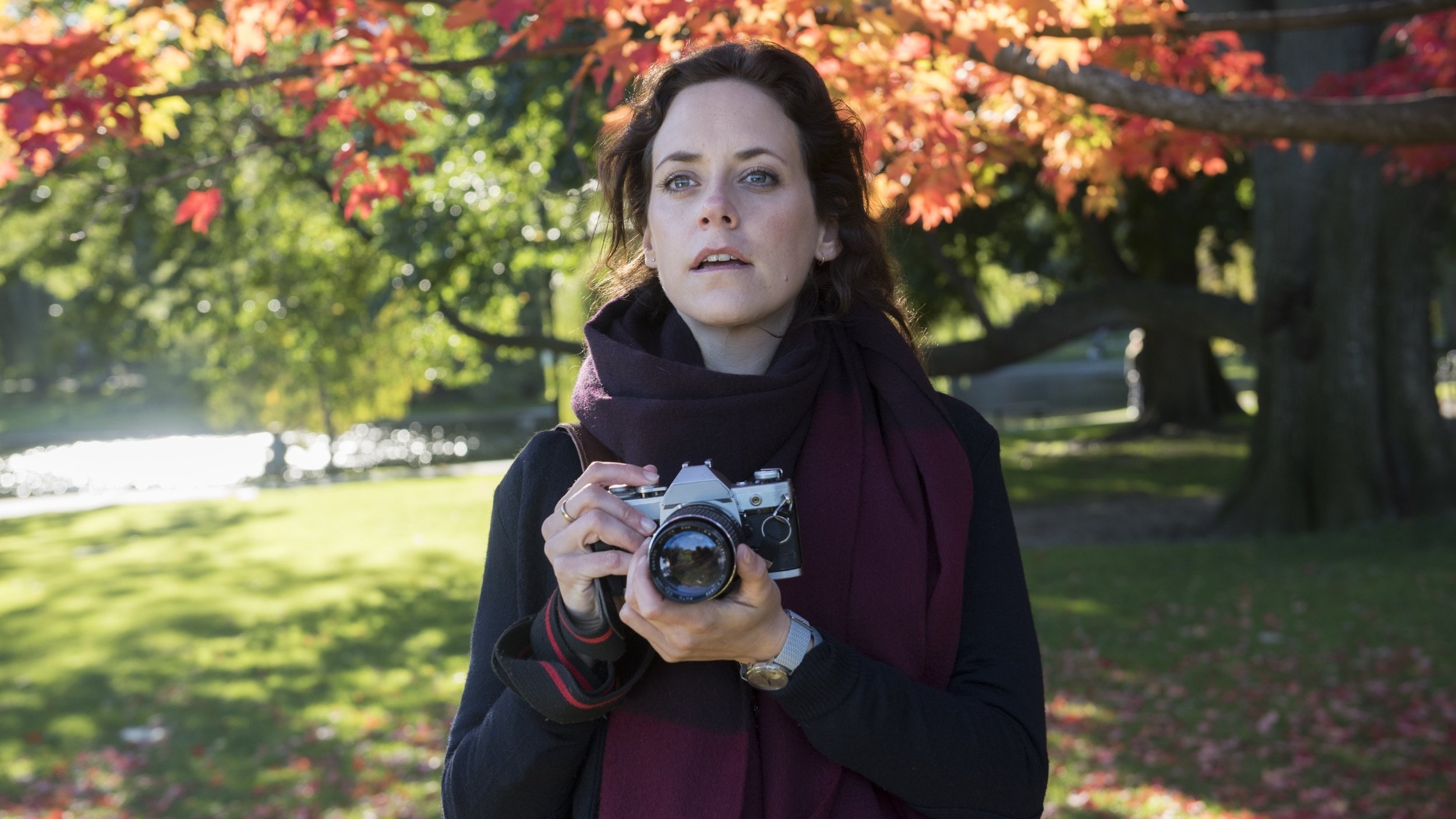 Backdrop for Katie Fforde: Bruderherz