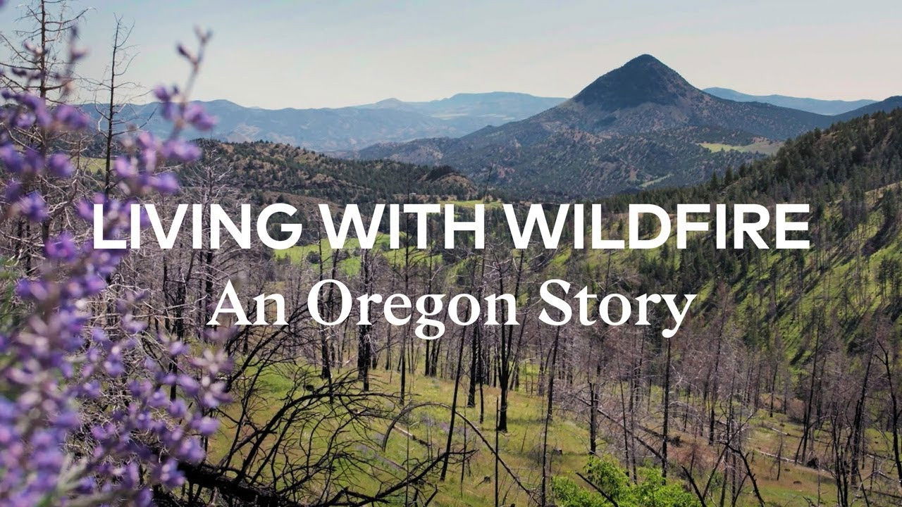 Backdrop for Living with Wildfire