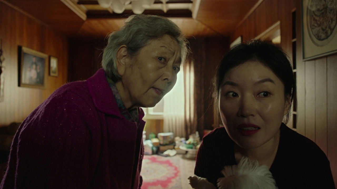 Backdrop for Take Care of My Mom