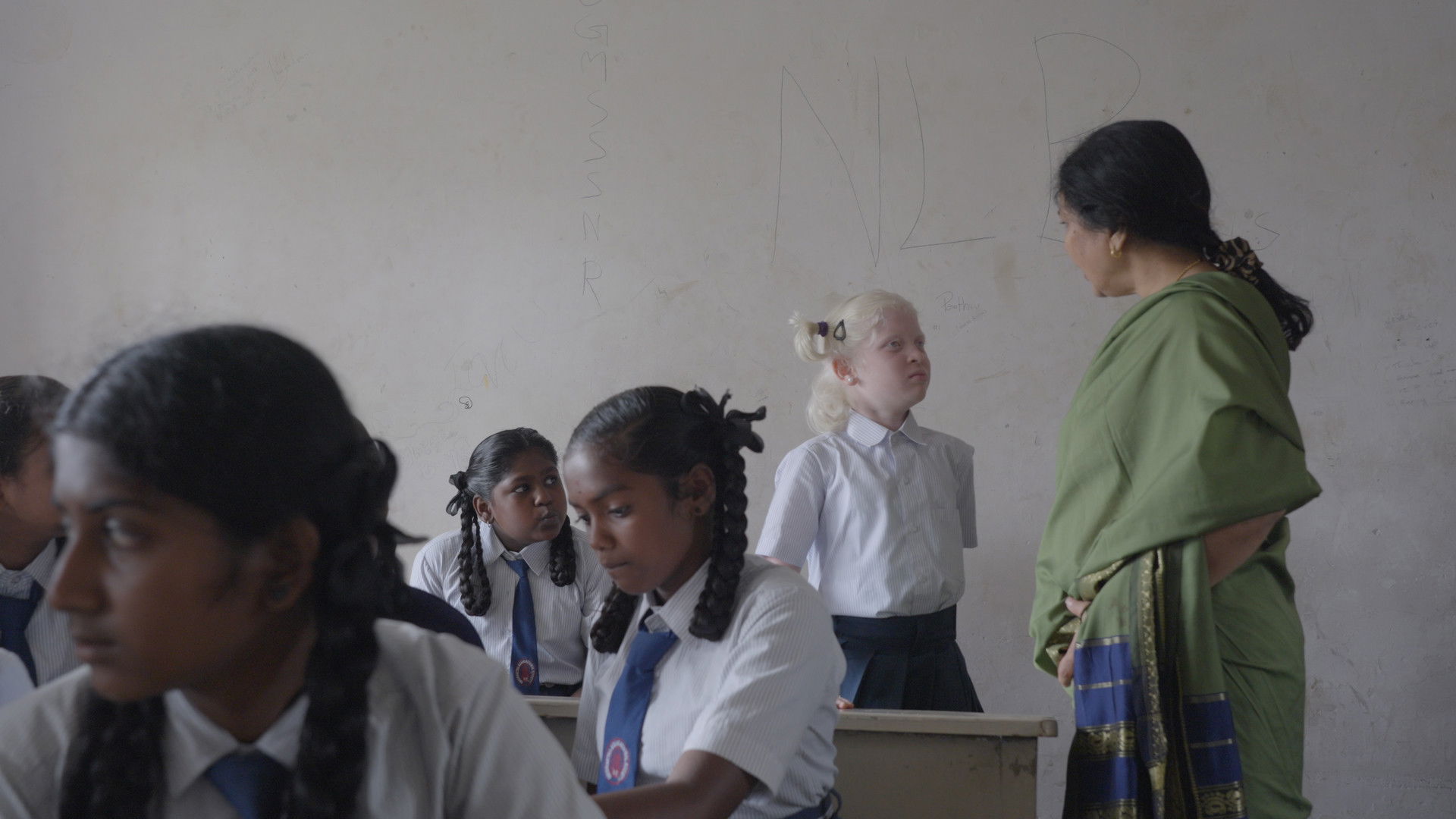 Backdrop for Bird of a Different Feather