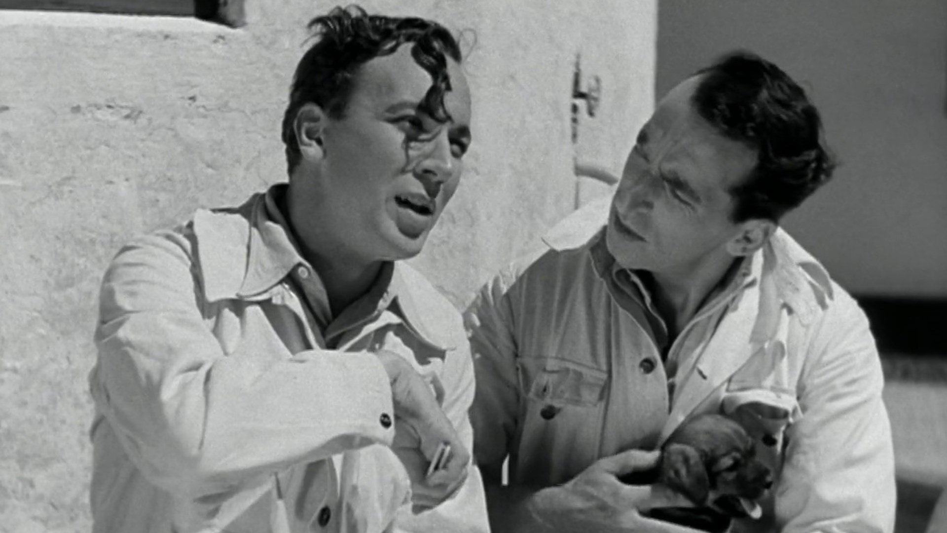 Backdrop for De bør forelske Dem