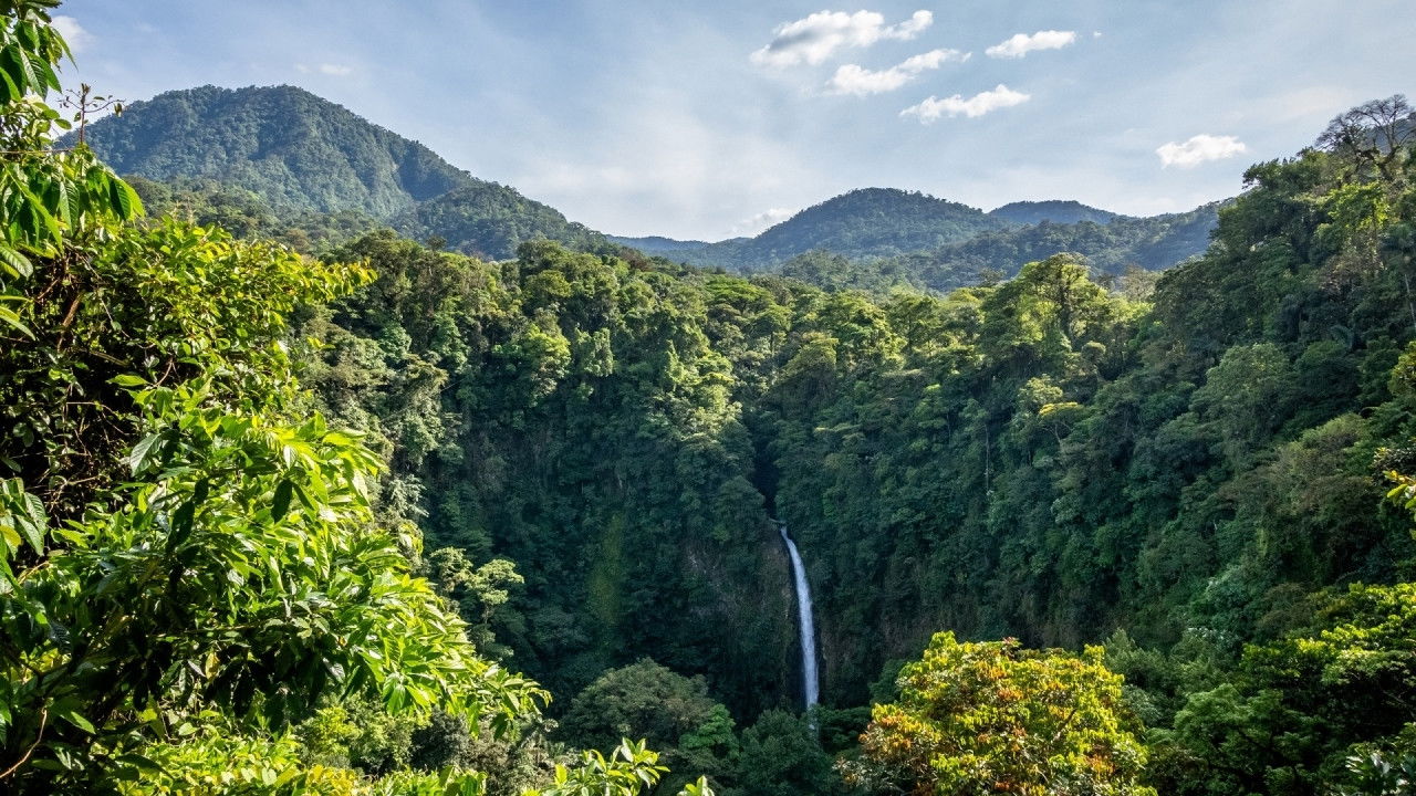 Backdrop for Living Landscapes: Costa Rica