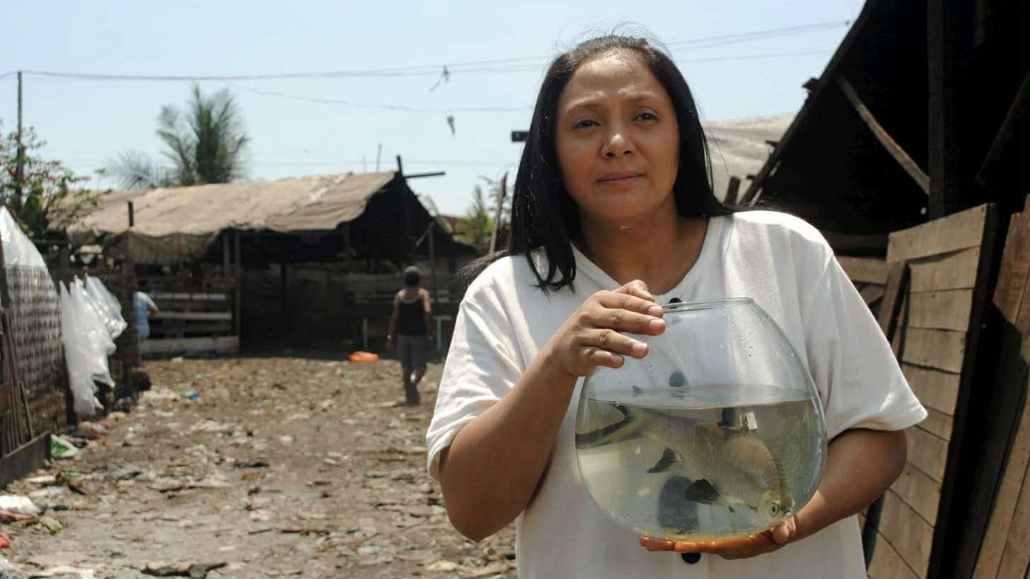 Backdrop for Fable of the Fish