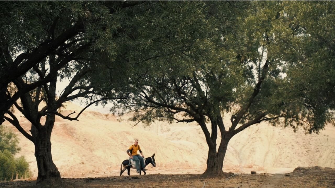 Backdrop for Aljudhur