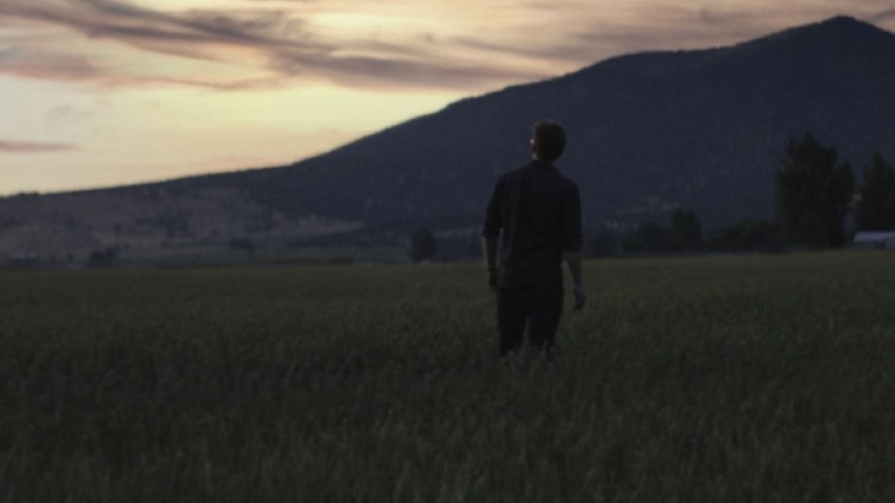 Backdrop for Many Moons