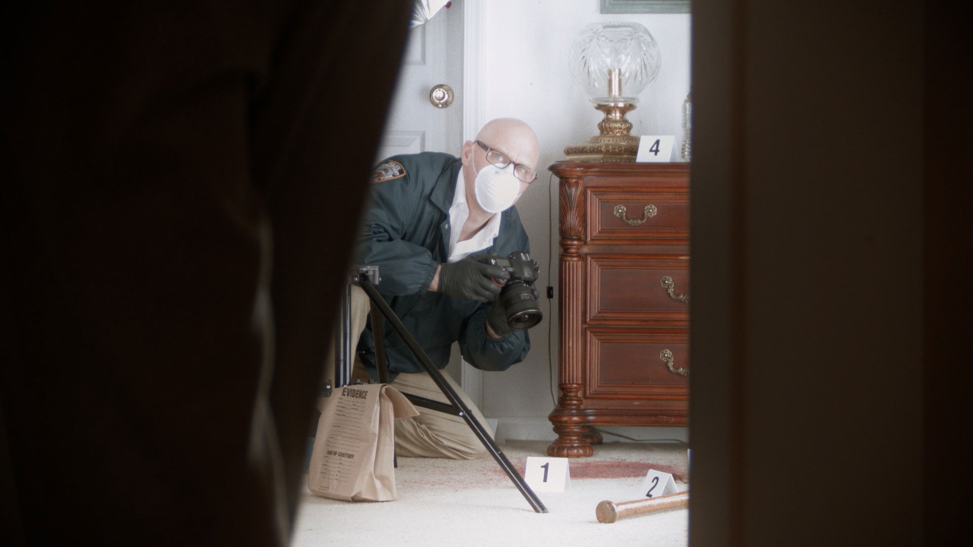 Backdrop for Sometime the Wolf