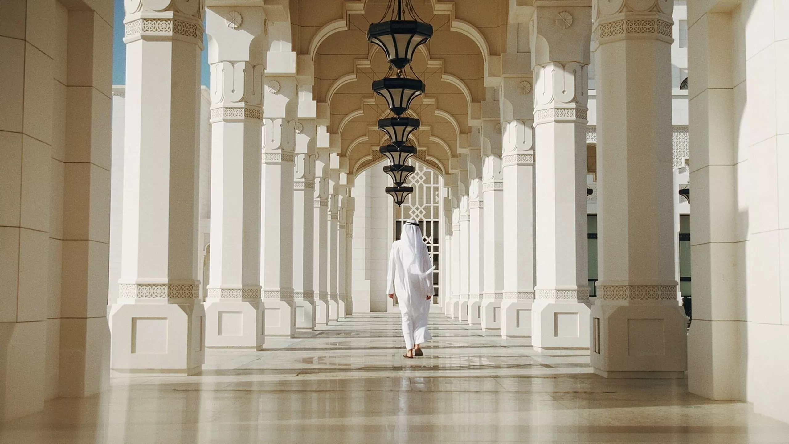 Backdrop for MBZ, la face cachée des Emirats arabes