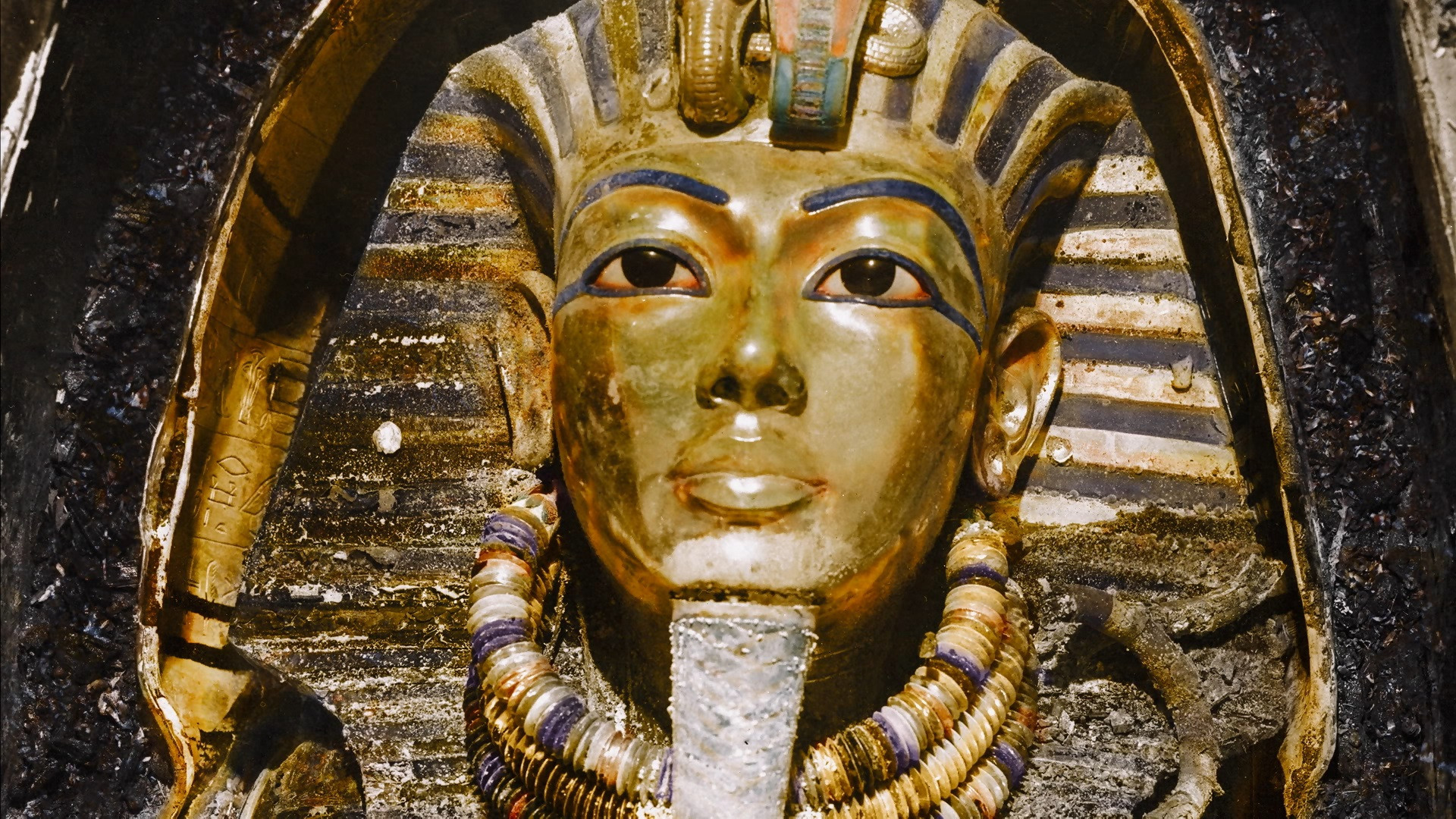 Backdrop for King Tut In Colour (Tutankhamun in Colour)