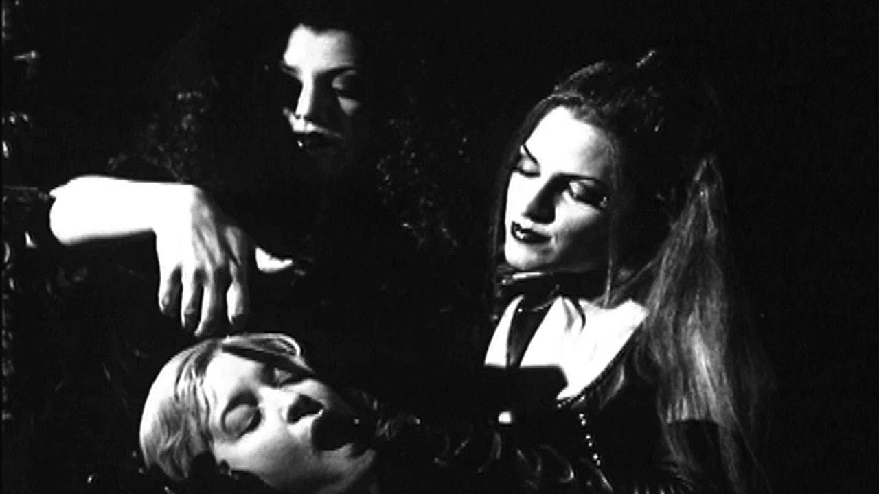 Backdrop for Ladies of the Night