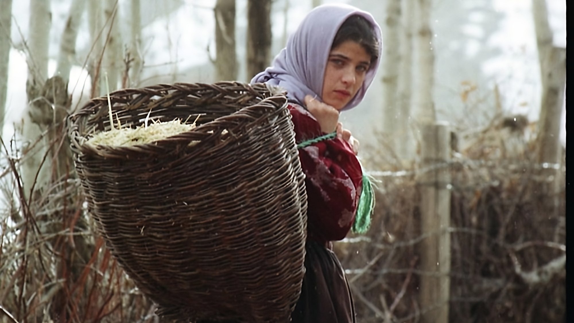 Backdrop for Requiem of Snow