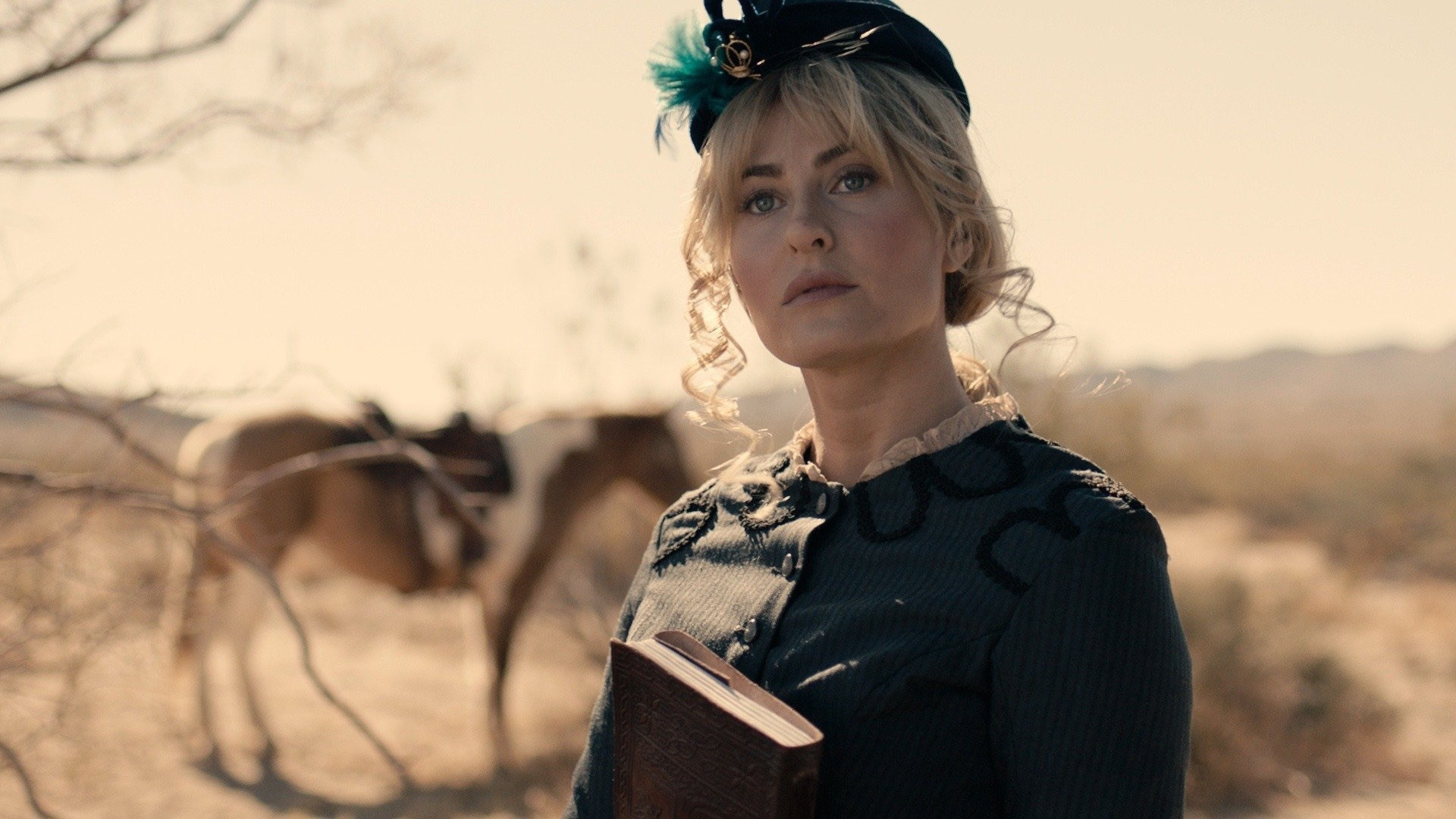 Backdrop for Apache Junction