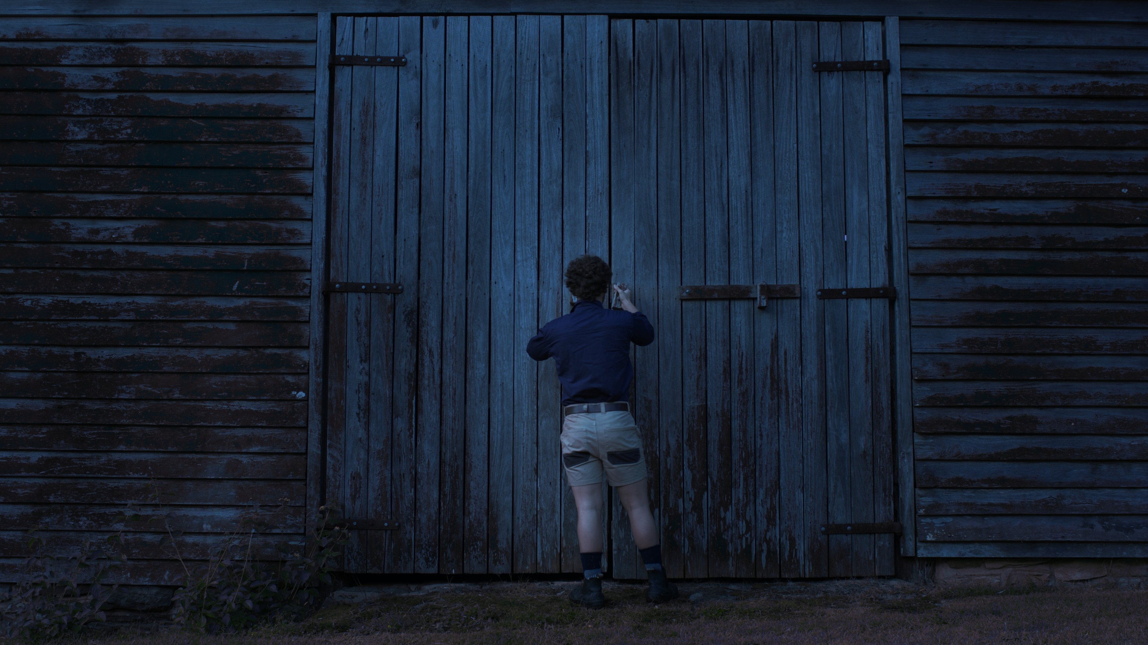 Backdrop for Where the Light Fades