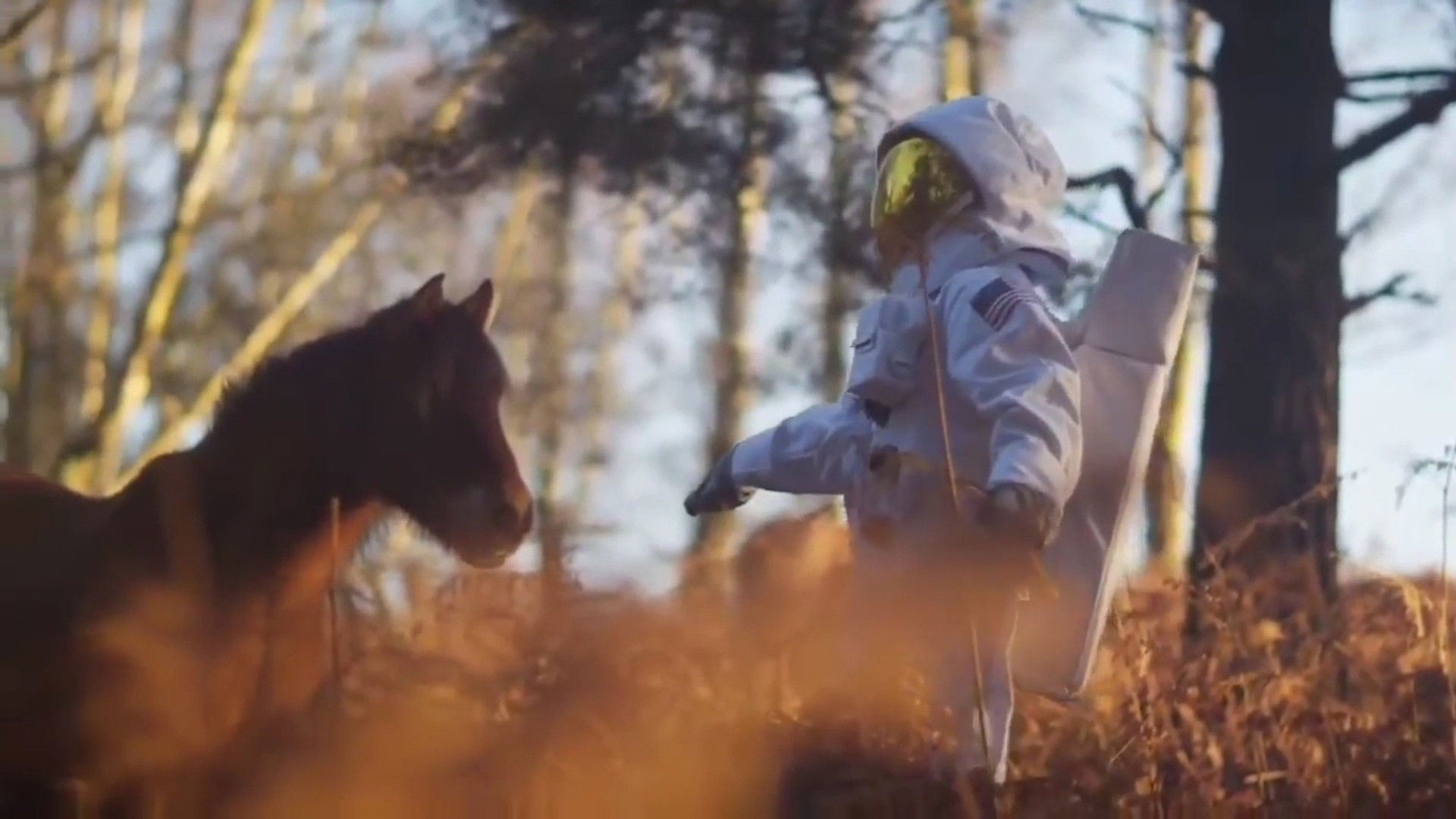 Backdrop for EBF: Wonders