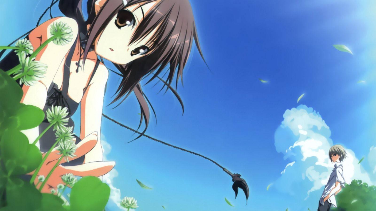 Backdrop for Wonderful Everyday Down the Rabbit-Hole