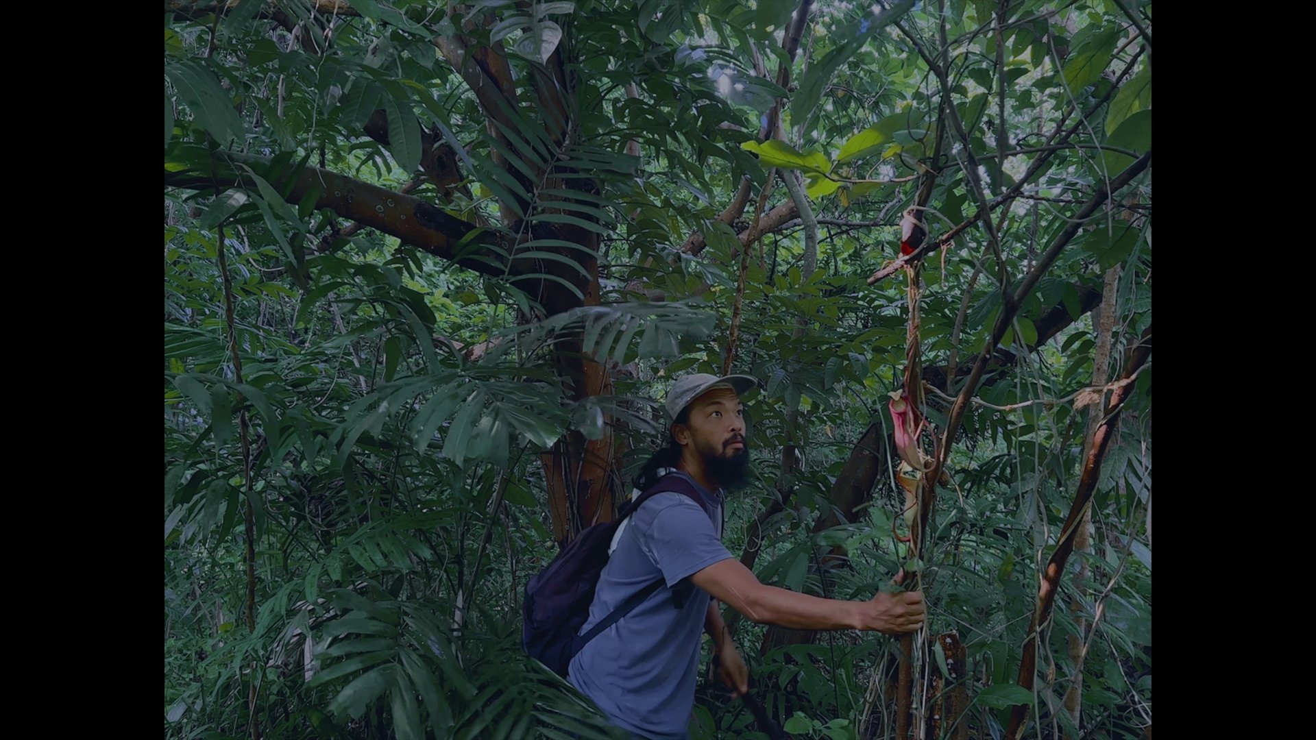 Backdrop for Old World