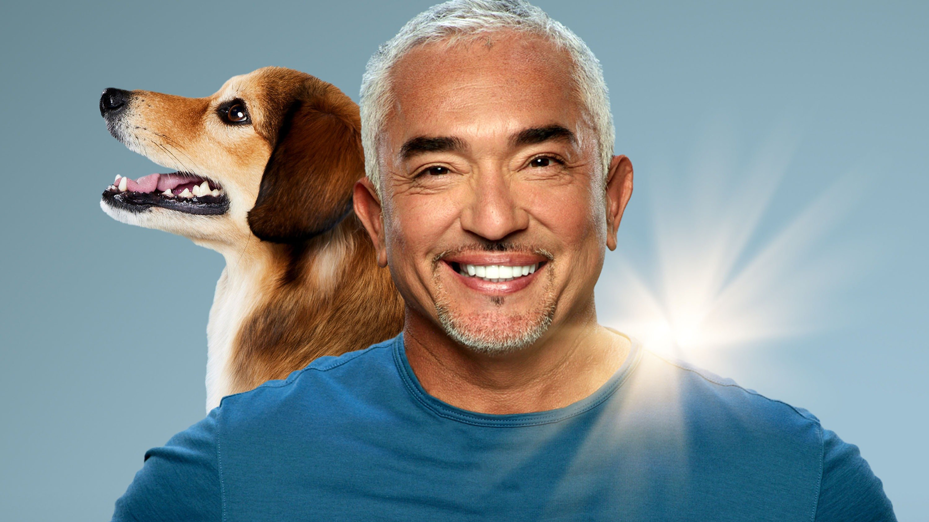 Backdrop for Cesar Millan: Better Human, Better Dog