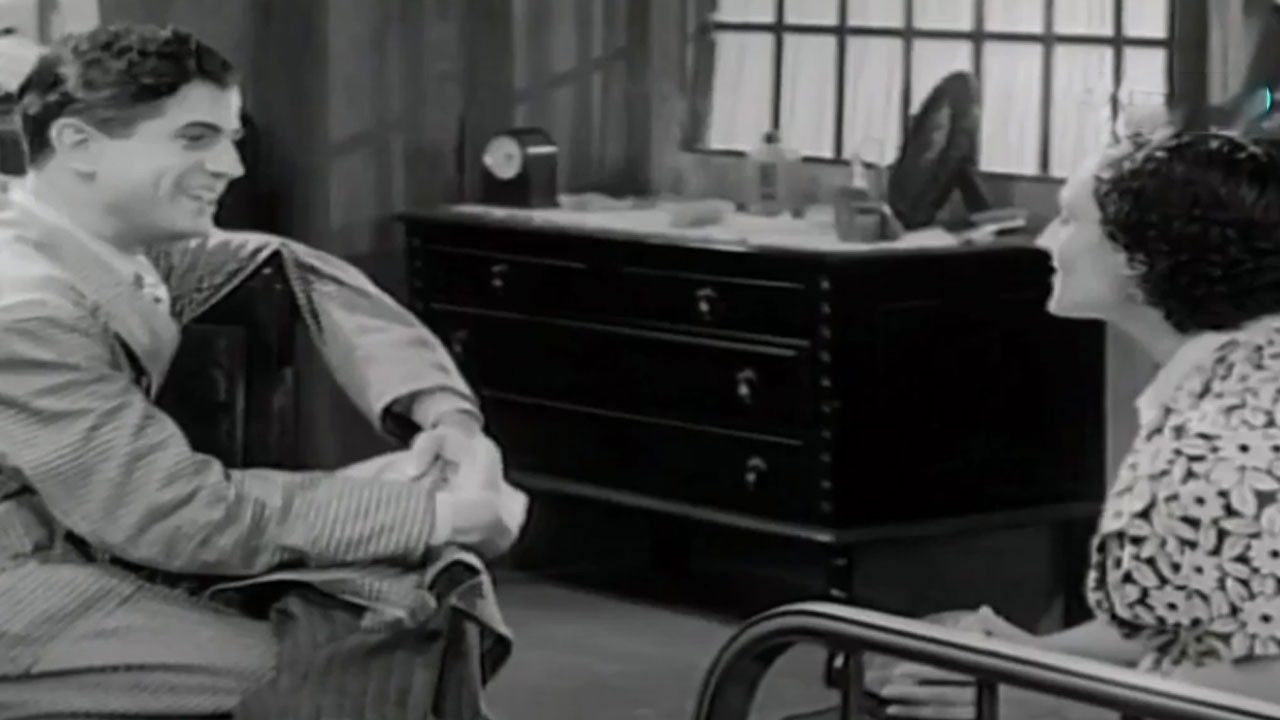 Backdrop for Sol de Primavera