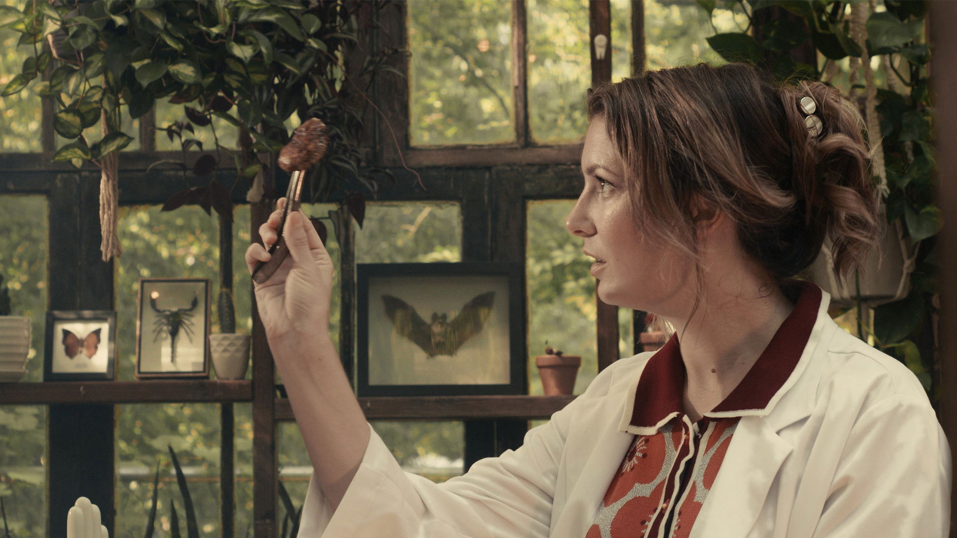 Backdrop for Octopus