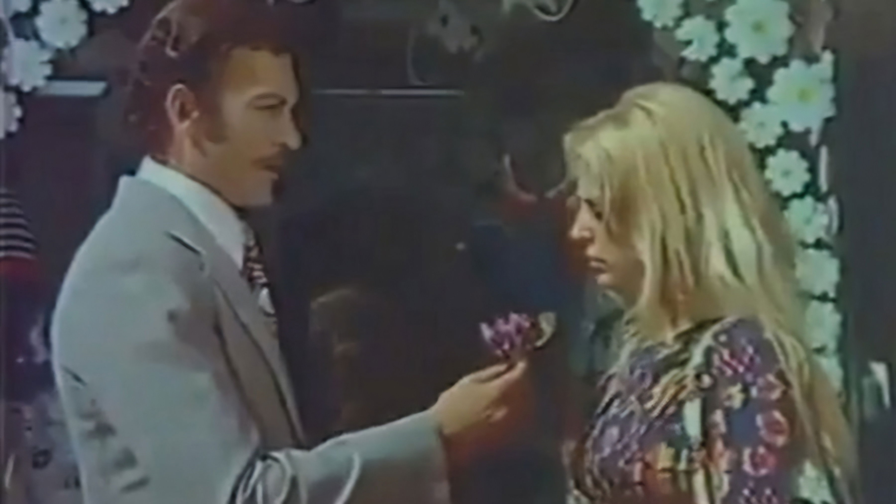 Backdrop for A Bunch of Violets