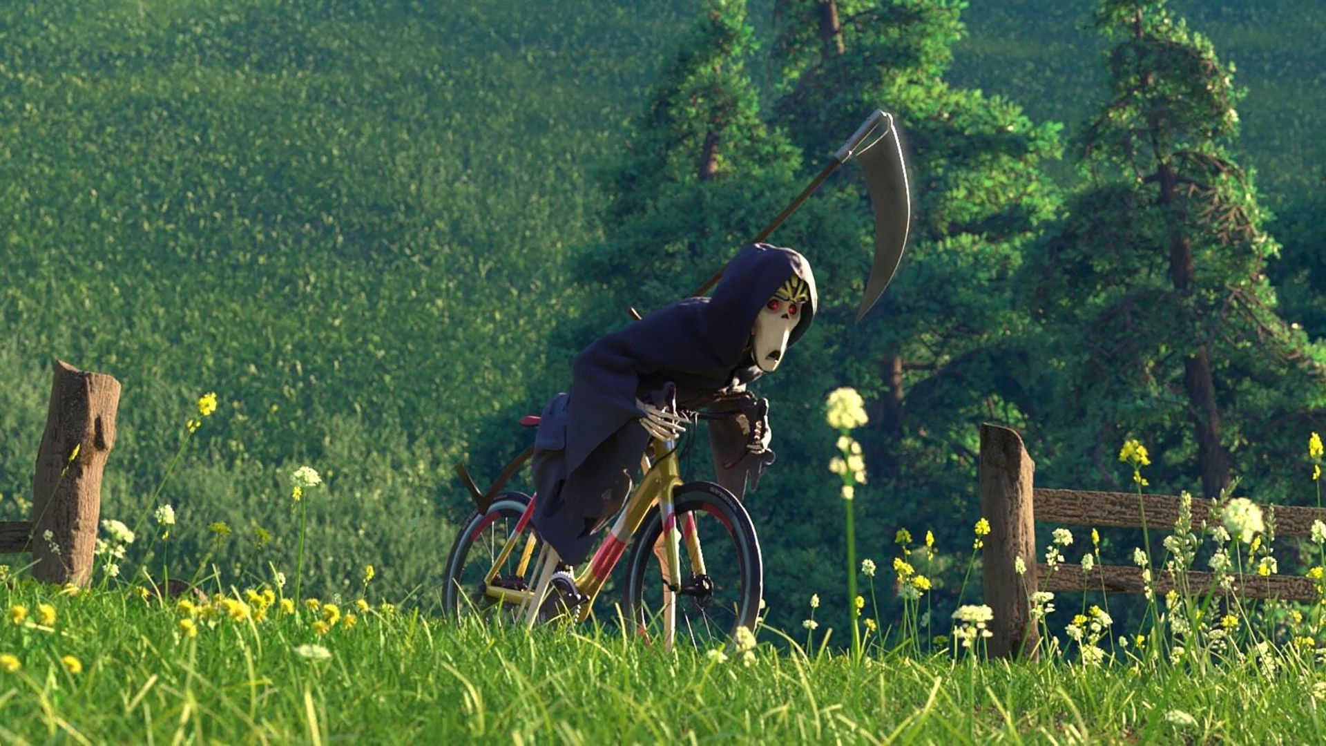 Backdrop for The Race