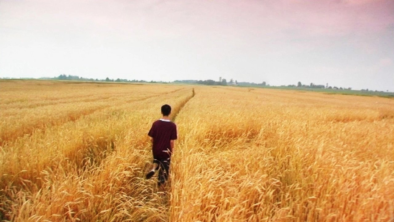 Backdrop for Innocent