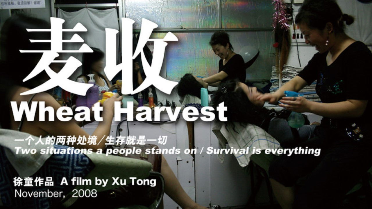 Backdrop for Wheat Harvest