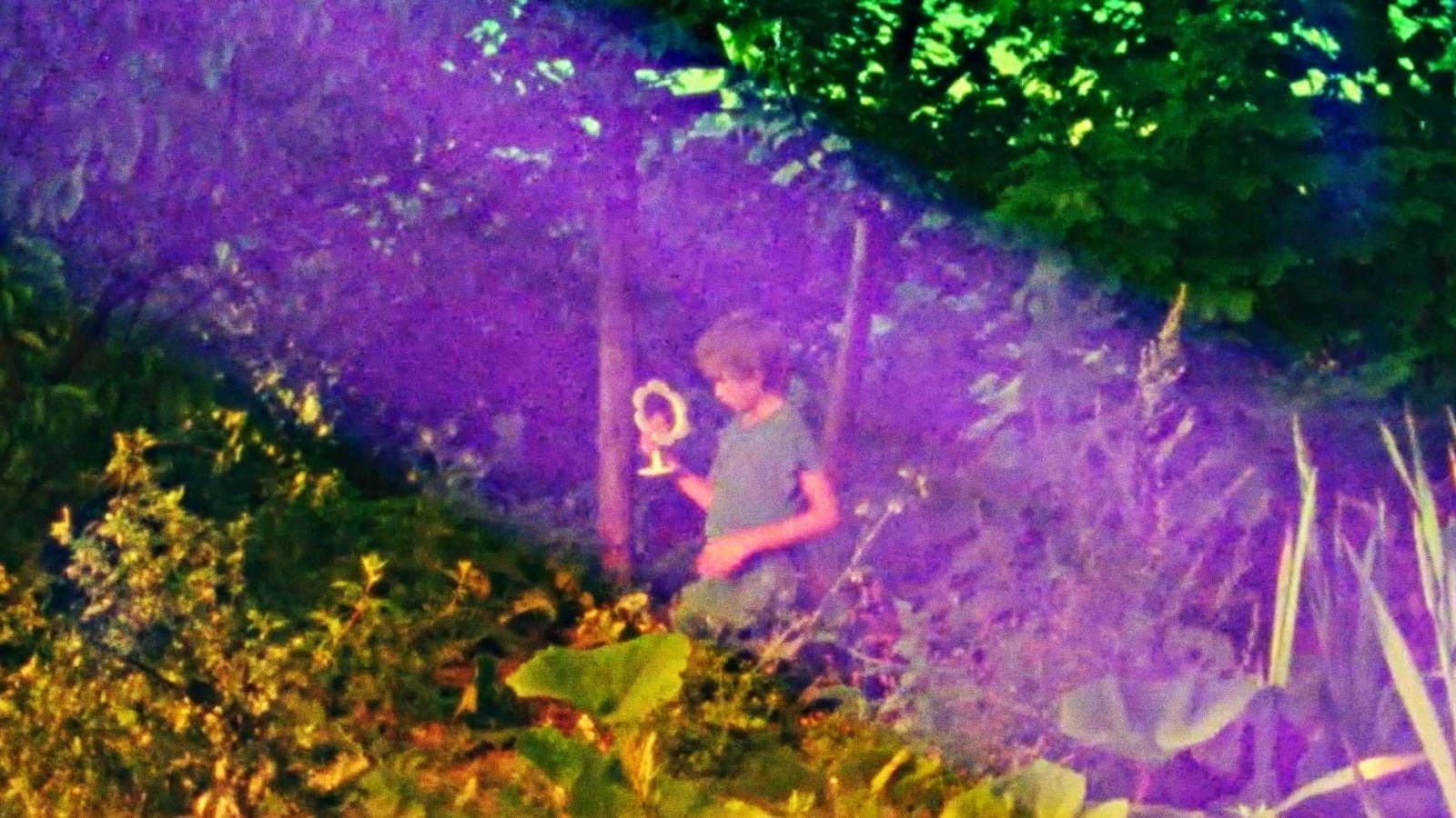 Backdrop for On Top of the Whale