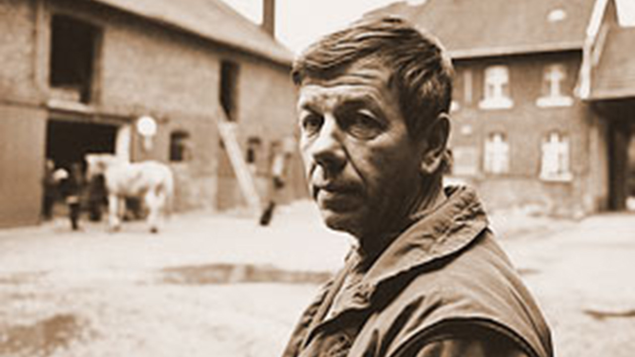 Backdrop for Waste Land