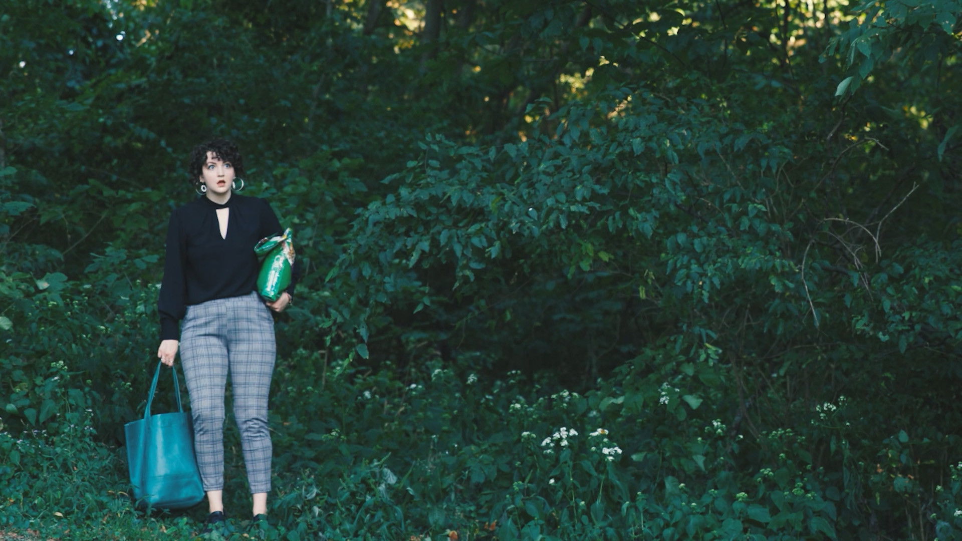 Backdrop for Cat Chaos