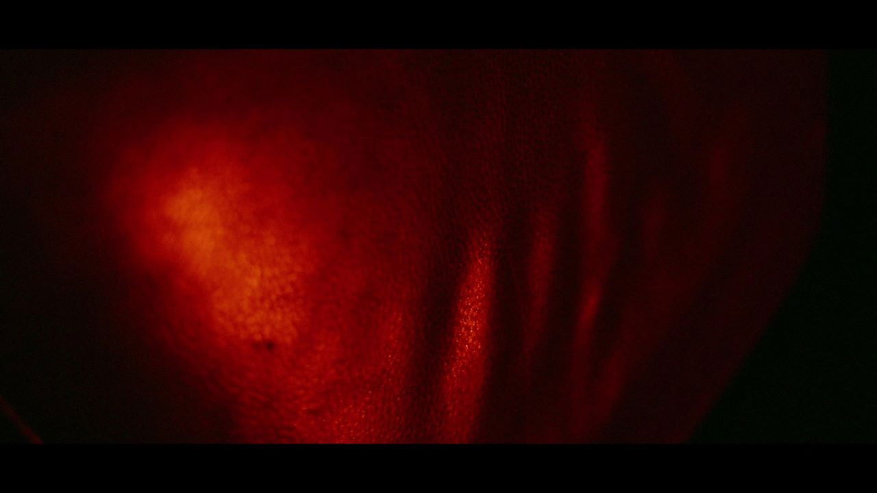 Backdrop for Flesh, Board, and Nails