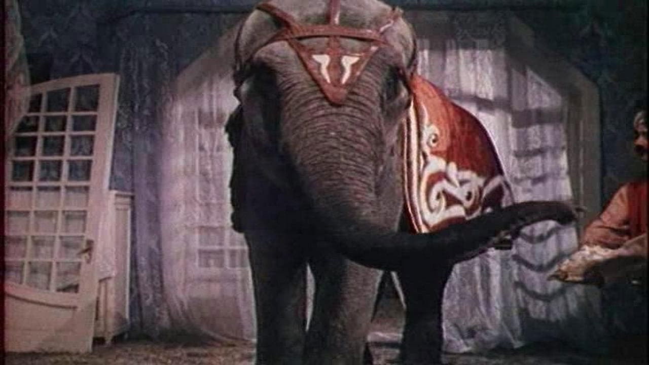 Backdrop for And Then Came Bumbo...